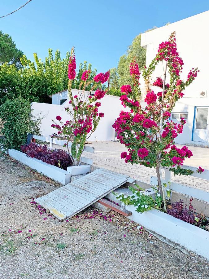 Apollonio Suites & Rooms Faliraki Rhodes Kültér fotó